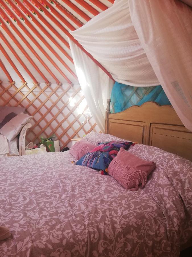 Hotel Yurta De Arico Arico Viejo Esterno foto