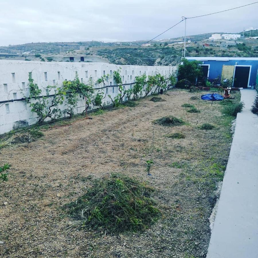 Hotel Yurta De Arico Arico Viejo Esterno foto